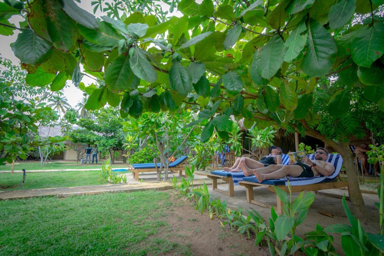 Blue Waters Hotel Arugam Bay Bagian luar foto