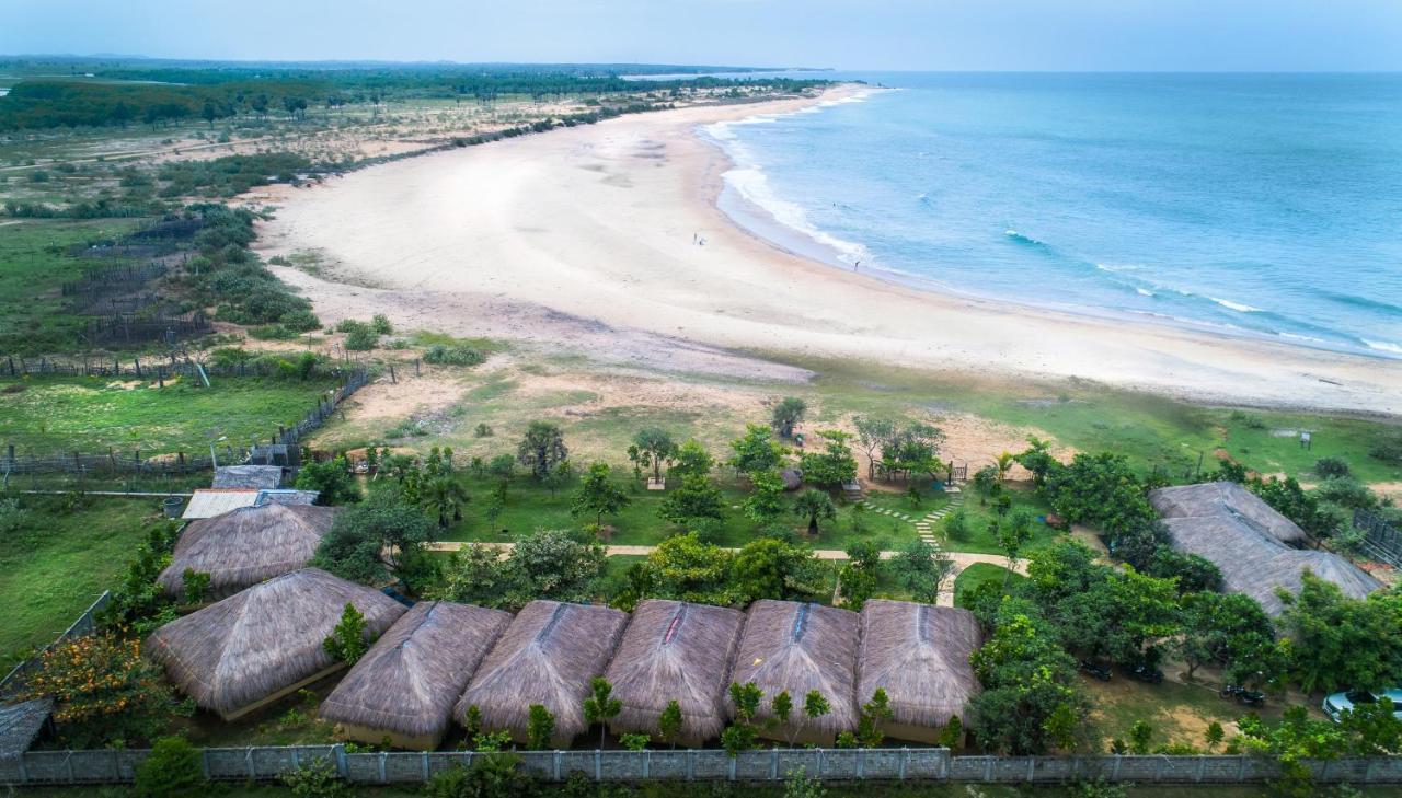 Blue Waters Hotel Arugam Bay Bagian luar foto