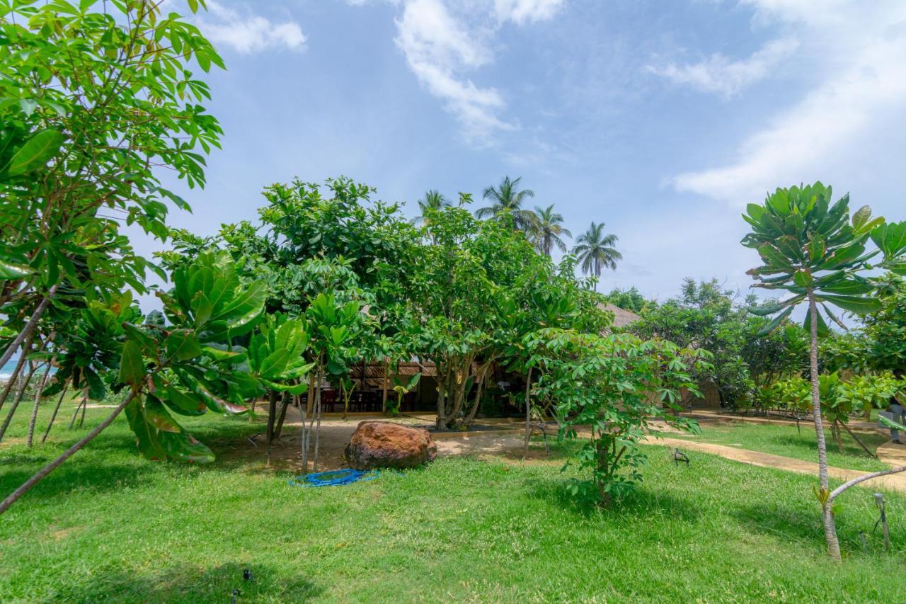 Blue Waters Hotel Arugam Bay Bagian luar foto
