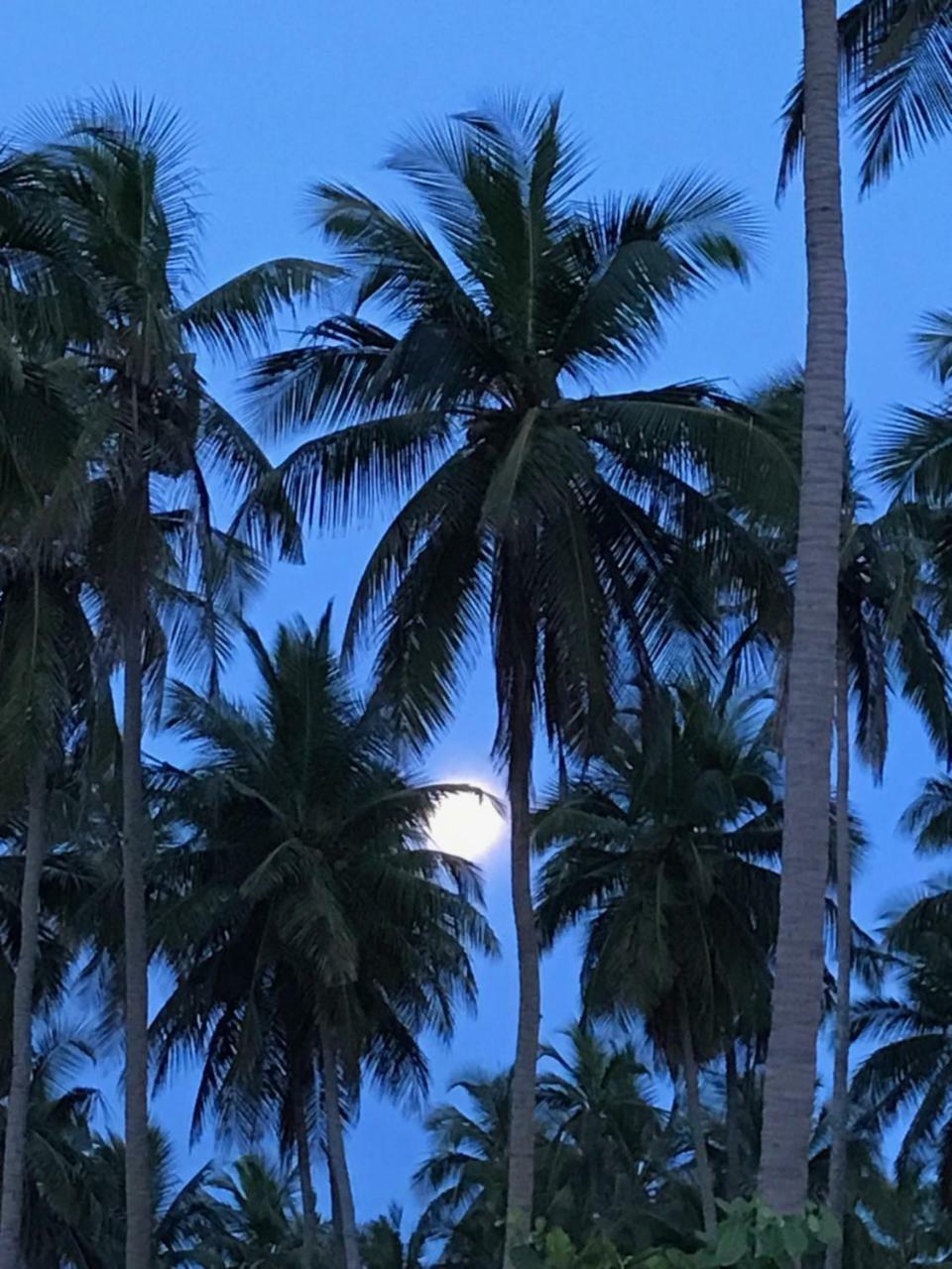 Blue Waters Hotel Arugam Bay Bagian luar foto